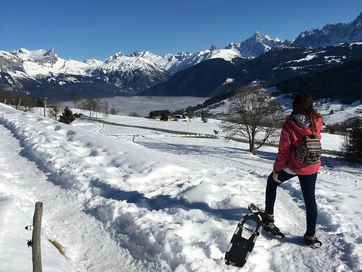 #17. La magie de la neige ☃️