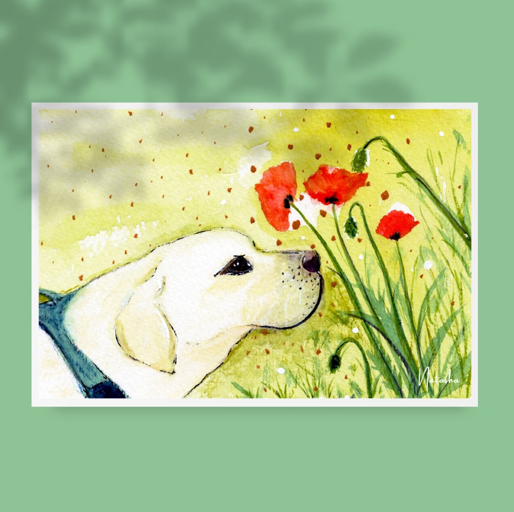 Illustration aquarelle d’un chien au pelage clair reniflant des coquelicots rouges dans un champ verdoyant. L’arrière-plan est parsemé de petites touches de couleur qui évoquent un décor printanier doux et paisible. Appartient à Boutique de Moments.