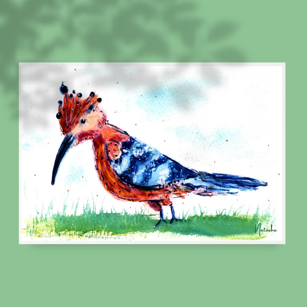 Illustration aquarelle d’une huppe fasciée, un oiseau aux plumes rousses et bleues, posé sur de l’herbe verte. Sa crête dressée et son long bec noir sont mis en valeur par un fond clair et doux, créant une scène à la fois vive et délicate. Appartient à Boutique de Moments.