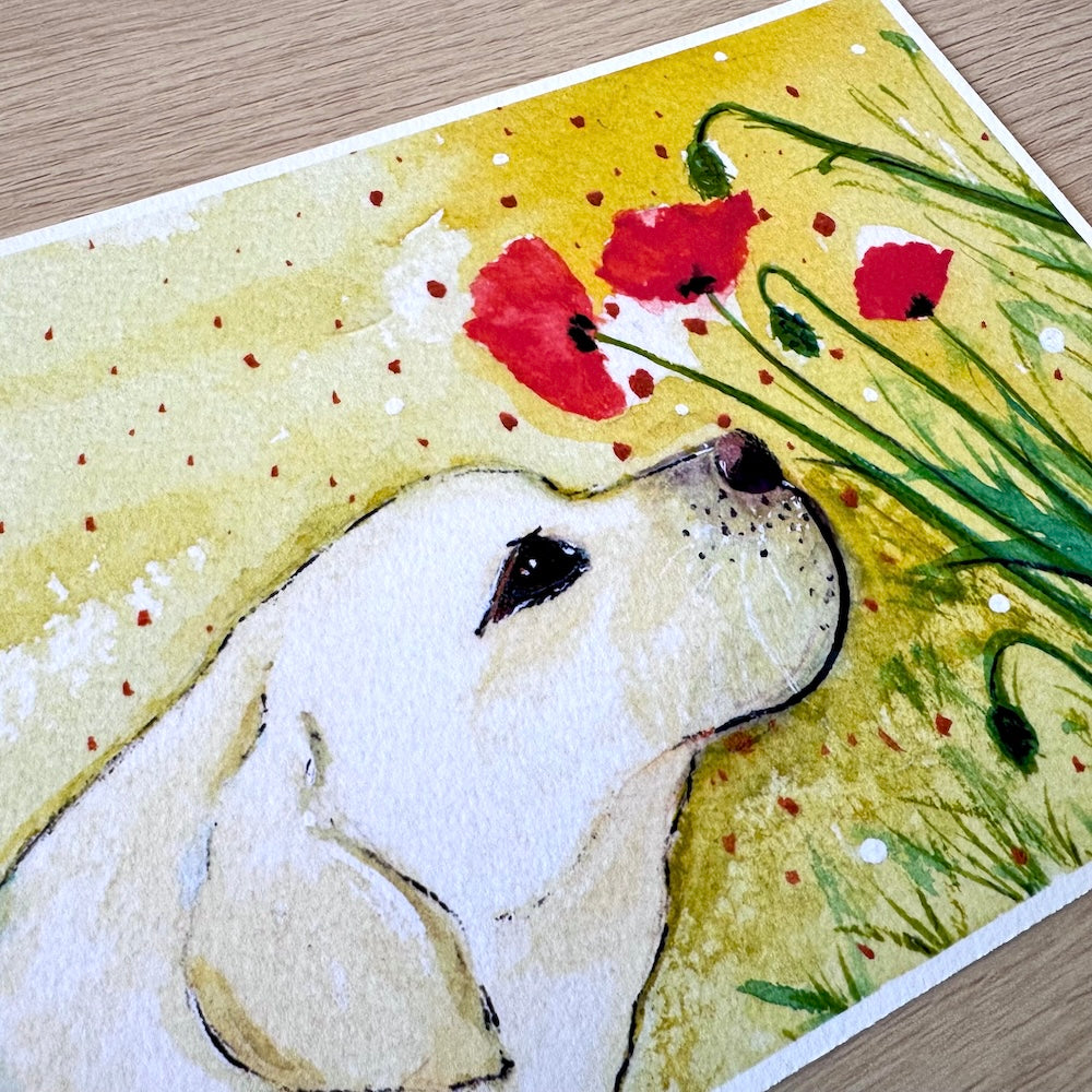 Gros plan d’une illustration aquarelle représentant un chien au pelage clair reniflant des coquelicots rouges. Les détails de la texture du papier et les couleurs chaudes du fond jaune accentuent la douceur et la poésie de la scène. Appartient à Boutique de Moments.